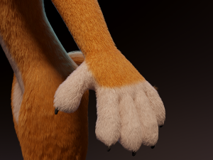 zoe anthro fox 3D 模型