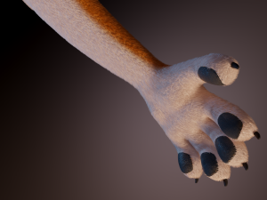 zoe anthro fox 3D 模型