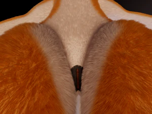 zoe anthro fox 3D Model