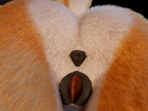 zoe anthro fox 3D 模型