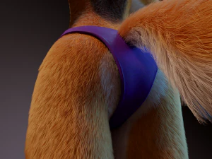 zoe anthro fox 3D Model