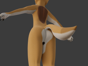zoe anthro fox 3D 模型