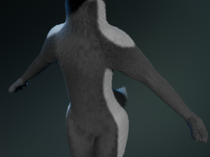 chloe anthro fox Modelo 3D