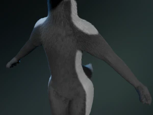 chloe anthro fox 3D Model