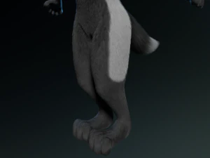 chloe anthro fox 3D Model