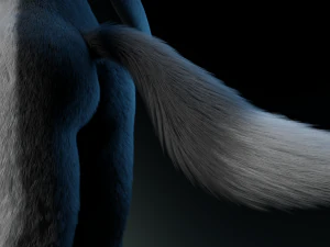 chloe anthro fox 3D Model