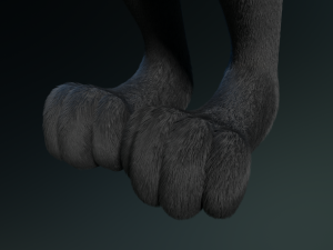 chloe anthro fox Modelo 3D