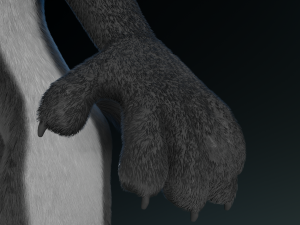 chloe anthro fox Modelo 3D