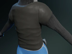 chloe anthro fox 3D Model