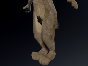 kadu anthro wolf 3D Model