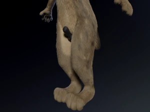 kadu anthro wolf 3D Model