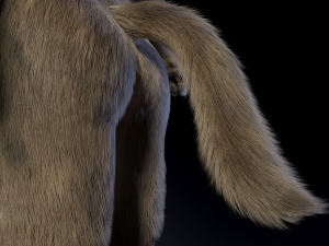 kadu anthro wolf 3D Model