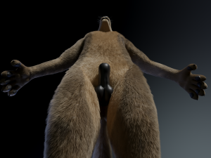 kadu anthro wolf 3D Model