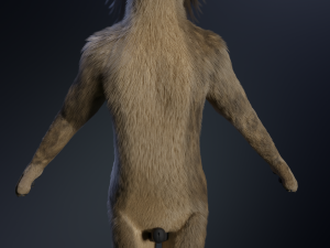 kadu anthro wolf 3D Model