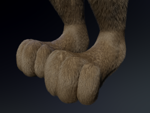 kadu anthro wolf 3D Model