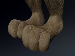 kadu anthro wolf 3D Model