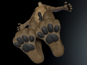 kadu anthro wolf 3D Model