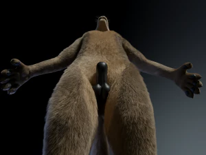 kadu anthro wolf 3D Model