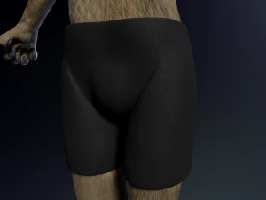 kadu anthro wolf 3D Model