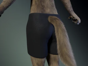 kadu anthro wolf 3D Model