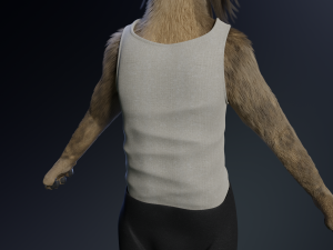 kadu anthro wolf 3D Model