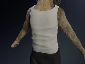 kadu anthro wolf 3D Model