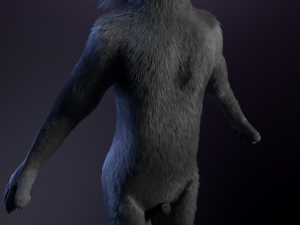 jonny anthro wolf 3D 模型