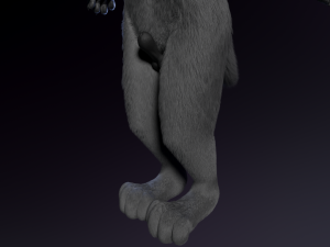 jonny anthro wolf 3D 模型