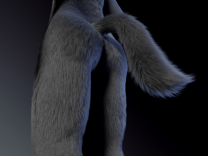 jonny anthro wolf 3D 模型