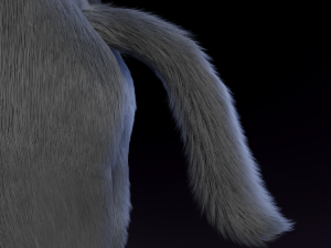 jonny anthro wolf 3D 模型