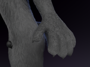 jonny anthro wolf 3D 模型