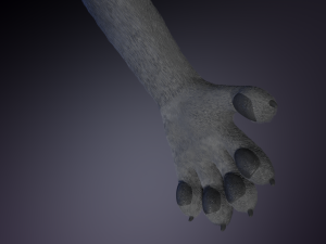 jonny anthro wolf 3D 模型