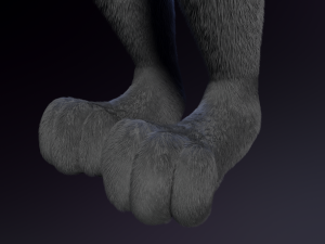 jonny anthro wolf 3D 模型