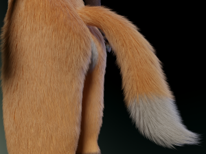 hassun anthro fox Modelo 3D