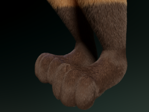 hassun anthro fox Modelo 3D