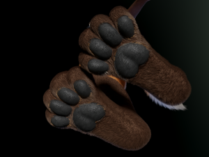 hassun anthro fox Modelo 3D