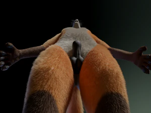 hassun anthro fox 3D Model