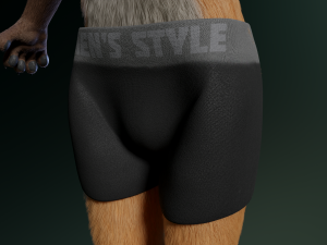 hassun anthro fox Modelo 3D