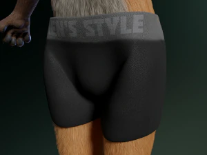 hassun anthro fox 3D Model