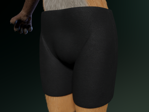 hassun anthro fox Modelo 3D