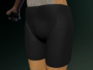 hassun anthro fox 3D Model