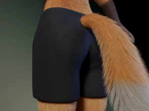 hassun anthro fox 3D Model