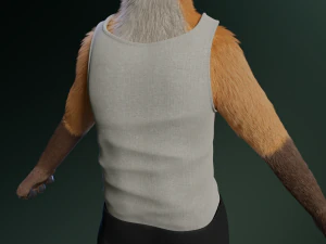 hassun anthro fox 3D Model