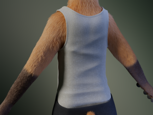 hassun anthro fox Modelo 3D