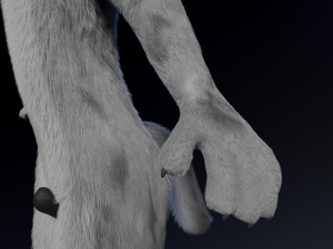 richard anthro wolf Modelo 3D