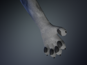 richard anthro wolf Modelo 3D