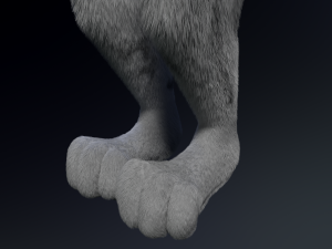 richard anthro wolf Modelo 3D