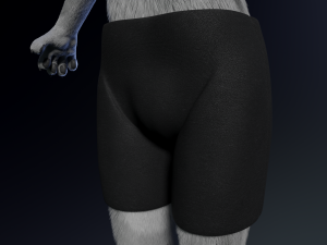 richard anthro wolf Modelo 3D
