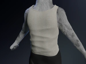 richard anthro wolf 3D Model
