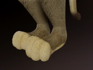 Logan Anthro Lion 3D Model